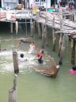 Ko Panyi Kids swimming.JPG (66 KB)